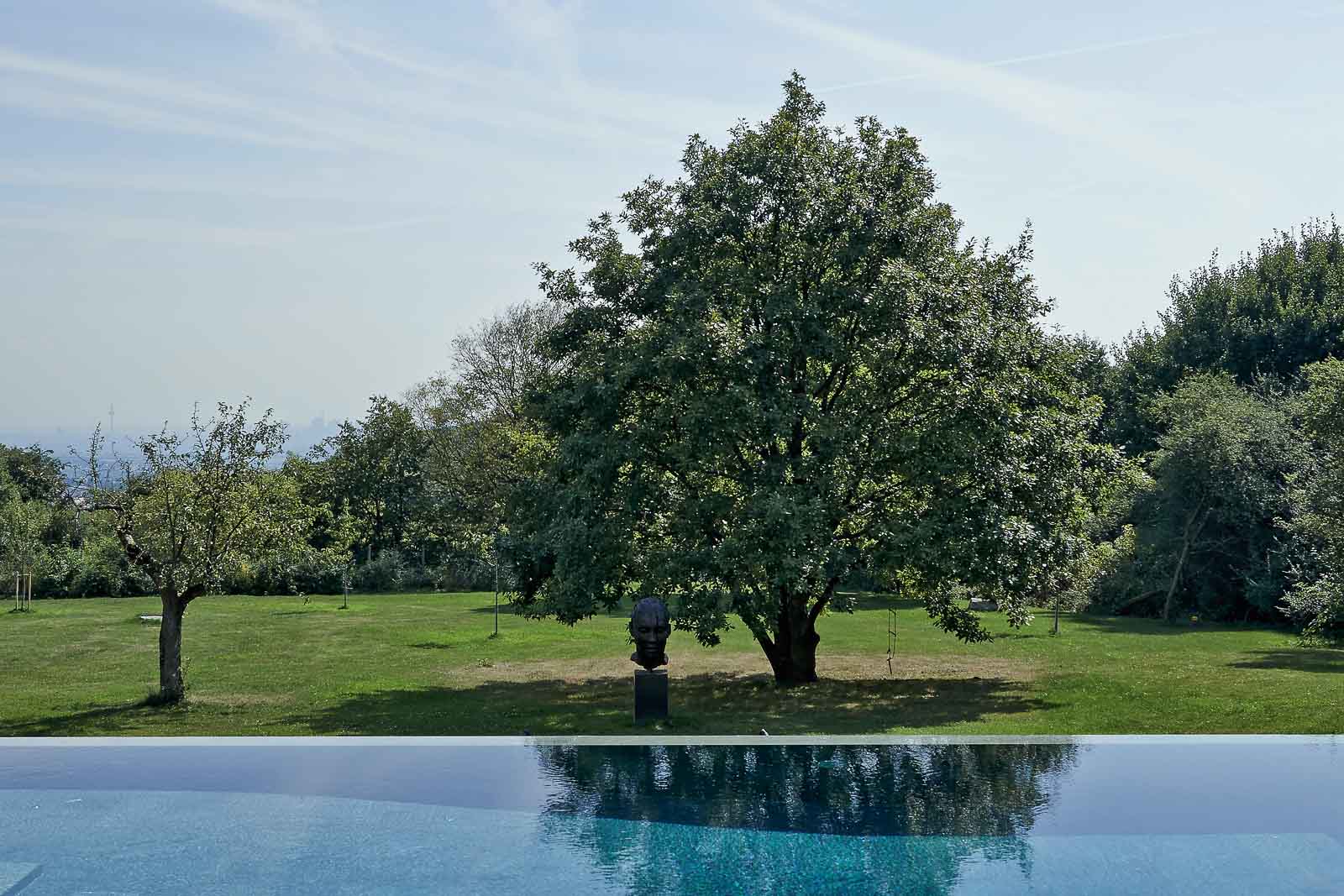 Infinitypool, Integriert, Terrasse