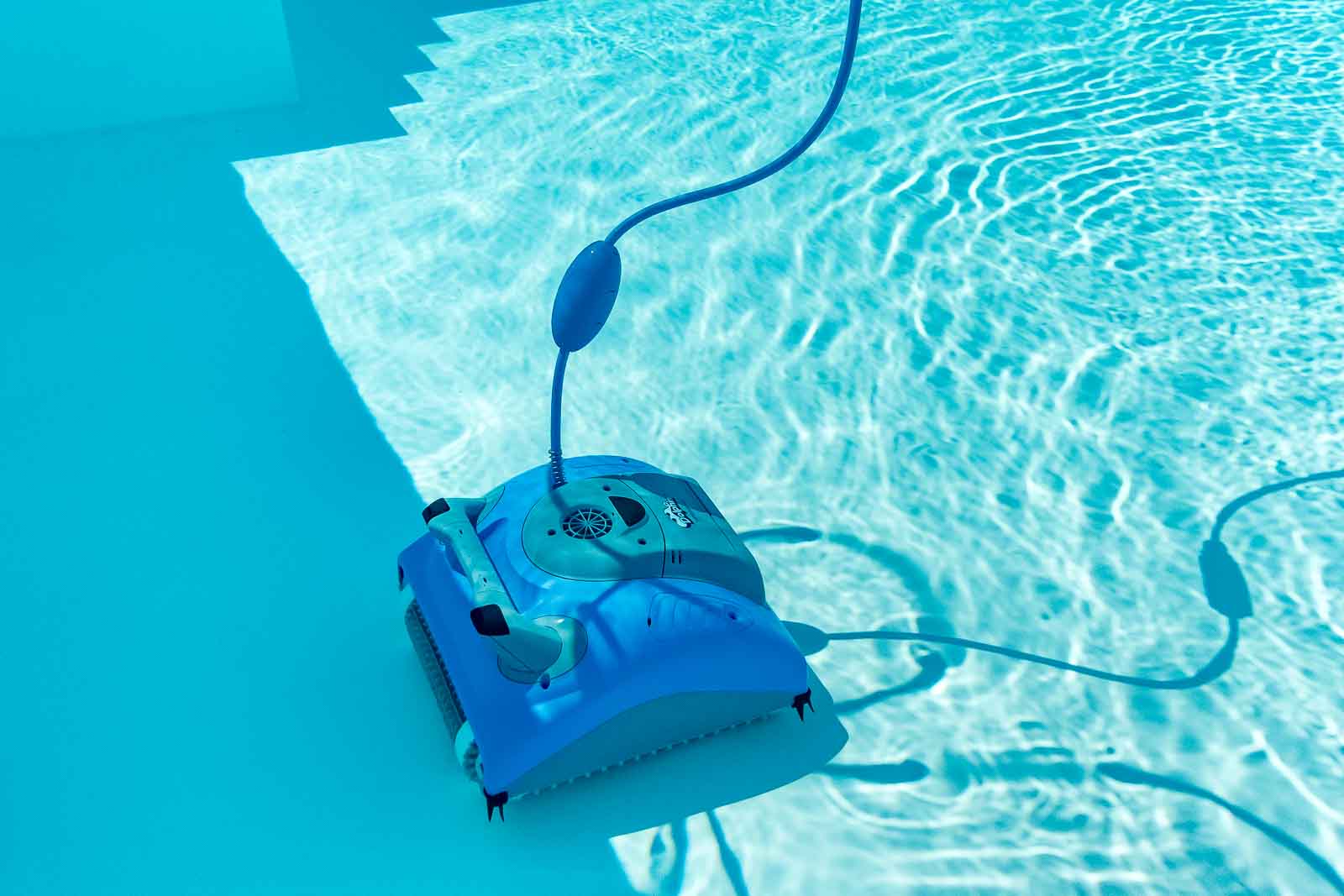 Bodenreiniger, Dolphin, Poolroboter, Supreme