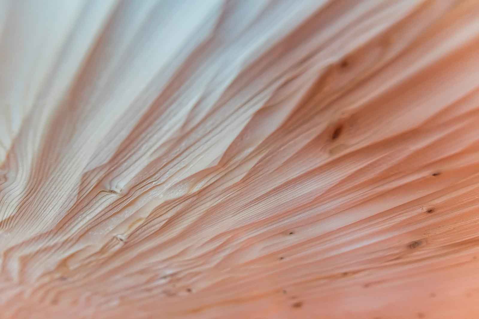 Holz, Relief, Sauna, Wand