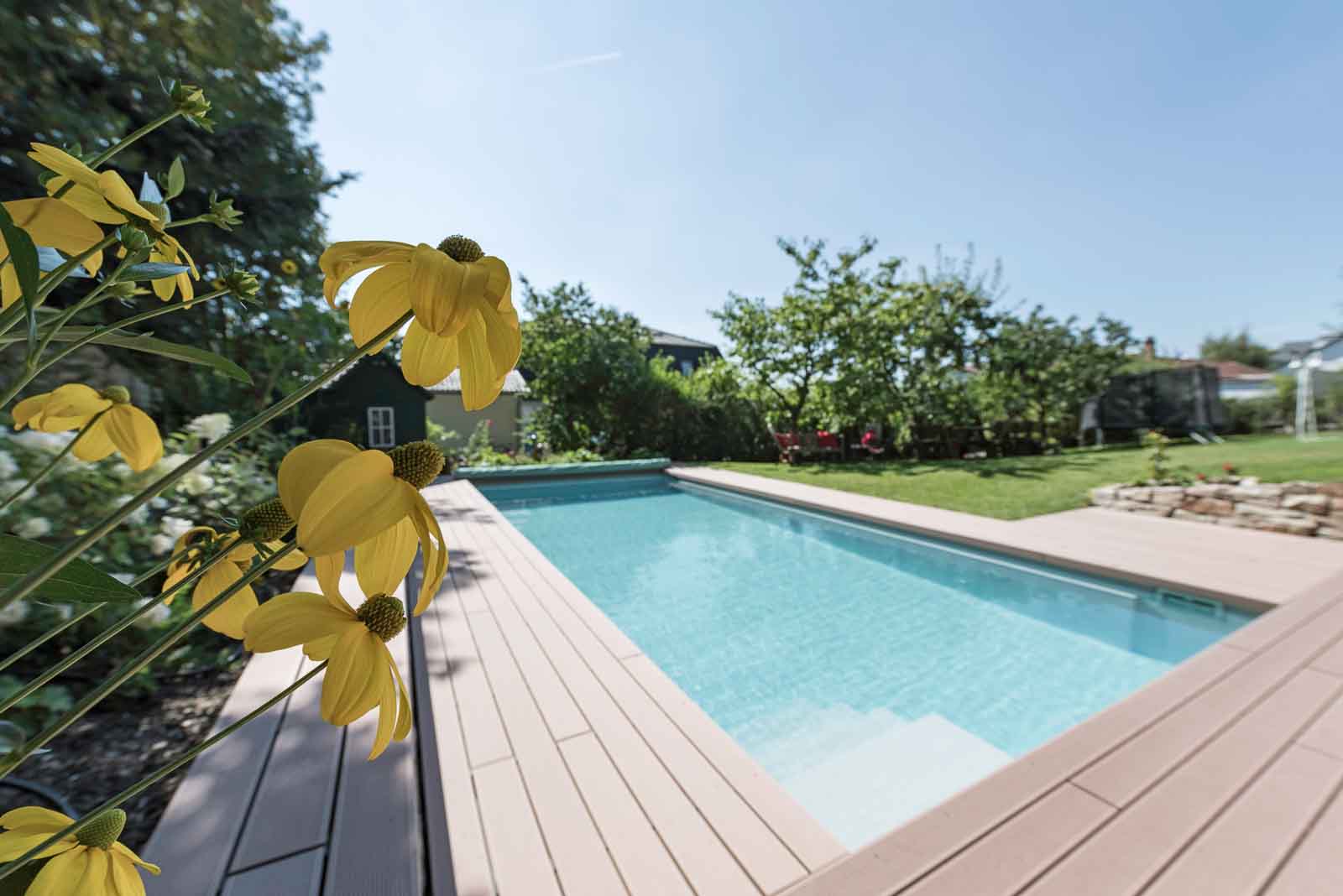Blumen, Detail, Gelb, Pool
