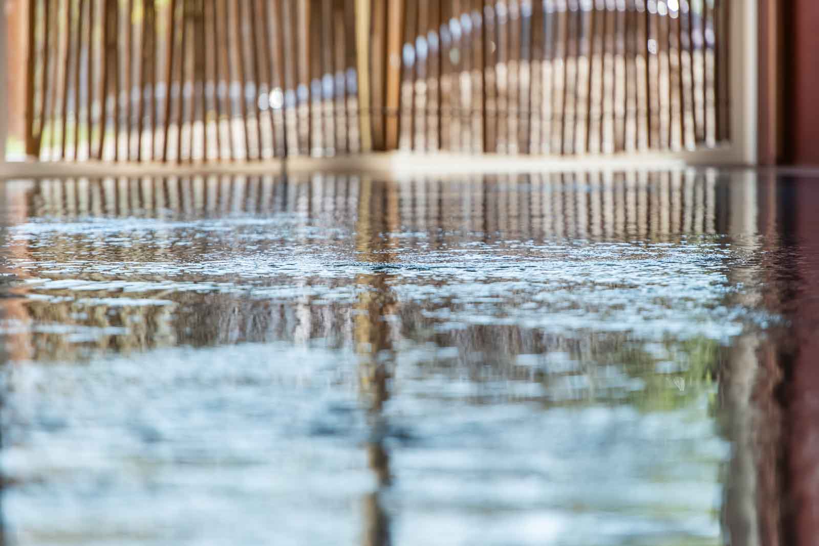 Carolinger Hallenbad Bambus, Detail, Wasser