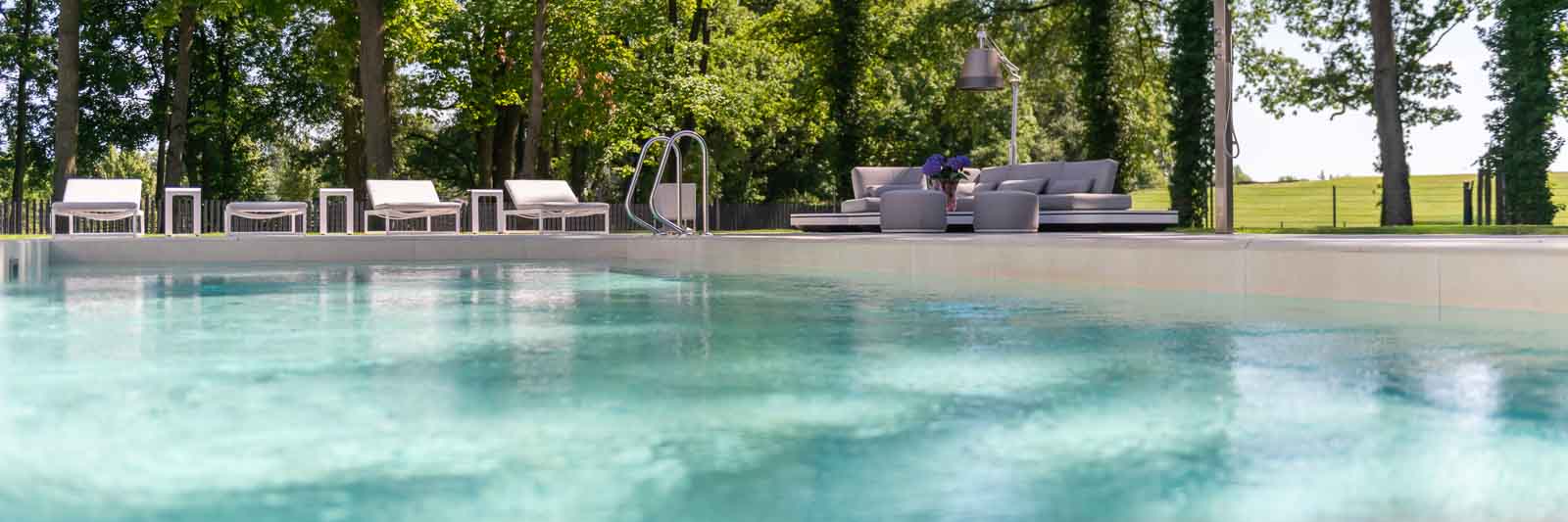 Baeume, Pool, Skimmerbecken